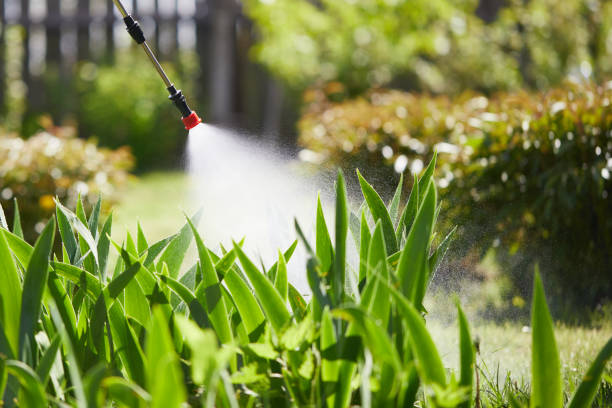 Tamper-Resistant Bait Stations for Rodents in Cowpens