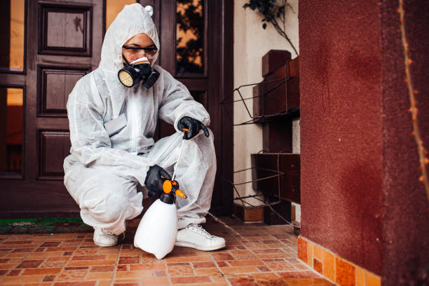 Attic and Crawl Space Rodent Treatment in Cowpens