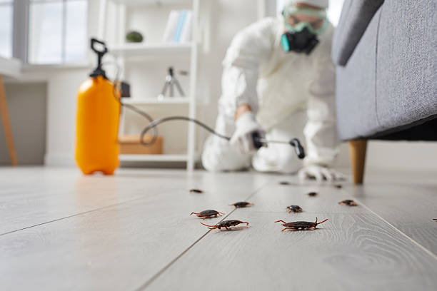 Commercial Rodent Management in Cowpens